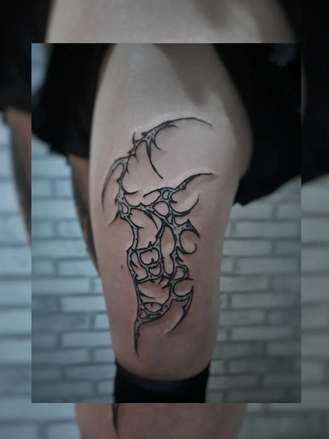 SaveClip.App_542879573_18110678632537814_3594614622673347096_n