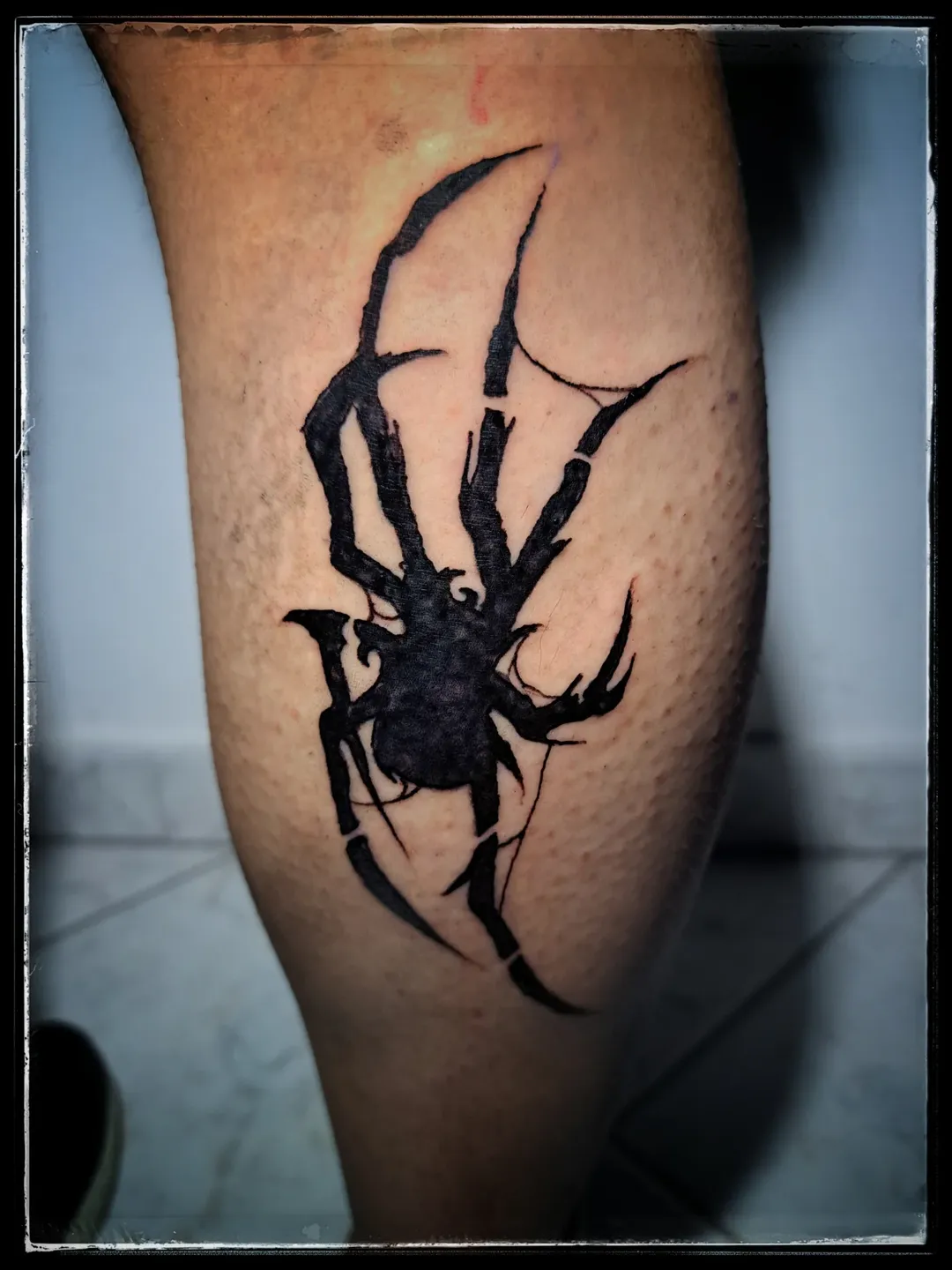 SaveClip.App_573615263_18117192406537814_4405893053742617508_n