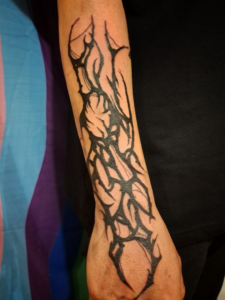 photo_5008542298412878673_y